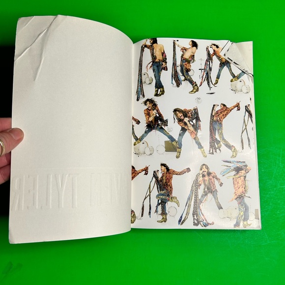 Steven Tyler “Does The Noise In My Head Bother You?” - Picture 3 of 16